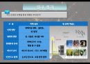 [★PPT★][야간夜間 조명 문제점 해결책] 야간 조명의 유형별 환경 영향, 야간 조명으로 인한 빛공해 현황, 야간조명 문제점, 야간 조명 대책방안 13페이지
