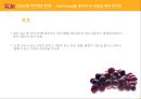 [글로벌 경영] DOLE (돌) 기업분석 & 글로벌 경영사례.pptx 29페이지