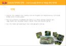 [글로벌 경영] DOLE (돌) 기업분석 & 글로벌 경영사례.pptx 30페이지