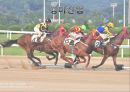 라스베가스의 벨라지오 카지노 산업현황 1페이지