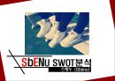 스베누  기업분석 (마케팅원론, 스베누,SBENU, 스베누 기업분석, 4P분석, SWOT분석, STP분석, 마케팅분석, 분석정리 ) 16페이지