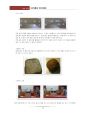 대명리조트 쏠비치 (쏠비치 소개 및 컨셉, 아쿠아 월드, 행사, 주변 관광) 10페이지