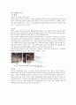 한옥 친환경적 기능 - 빛 환경, 열환경, 풍환경 1페이지