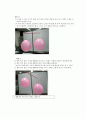 [수업지도안] (3) 기체의 성질 4페이지