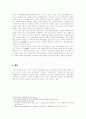 미국의 이라크 침공을 통해서 본 종교와 전쟁 4페이지