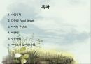 [PPT][도시개발都市開發 사업계획서] 안산시 다문화 음식 거리의 개선을 통한 다문화 체험공간 조성, 도시개발 계획, 도시 개발 2페이지