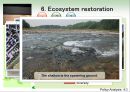 [PPT][영어 PPT, 영문 ppt]4대강 살리기의 핵심 주요 산업, 4대강 살리기 문제점, 4대강 살리기 현황, 4대강 살리기의 나아갈 방향,Argumentation of4  Rivers Restoration Project 15페이지