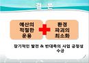 [PPT]새만금 간척사업, 새만금 간척사업 정책평가, 경제성과 환경성 두 가지 기준과 관련 정책 분석,새만금 간척사업과 그에 대한 정책 평가들 29페이지
