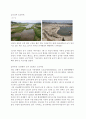 4대강 살리기의 핵심 주요 산업,Rivers Restoration Project, 4대강 살리기 문제점, 4대강 살리기 현황, 4대강 살리기의 나아갈 방향 18페이지