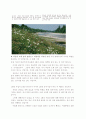 4대강 살리기의 핵심 주요 산업,Rivers Restoration Project, 4대강 살리기 문제점, 4대강 살리기 현황, 4대강 살리기의 나아갈 방향 29페이지