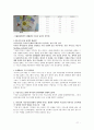 [다문화 가족 지원법] 다문화 가족 지원법에 대한 이해와 사례 (사례-서울시 글로벌 센터,다문화 가족 , 안산시 외국인 주민센터) 12페이지