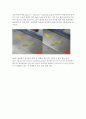 분석화학실험Saperation and qualitative analysis of the cation
 6페이지