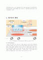 지구과학 임용고시 대기과목 총정리 Part.03 6페이지