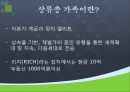 가족과 계급 3페이지