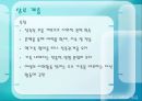 가족과 계급 10페이지
