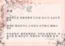캐나다의 관료제와 행정체제 13페이지