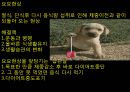 비만과  다이어트 26페이지
