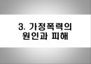 가정폭력 14페이지