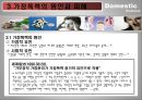 가정폭력 16페이지