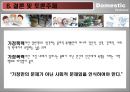 가정폭력 31페이지