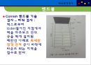 체육측정평가 {테니스, 핸드볼, 체조, 골프, 양궁 수영}.ppt 12페이지