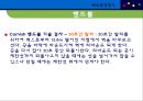 체육측정평가 {테니스, 핸드볼, 체조, 골프, 양궁 수영}.ppt 13페이지