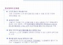 신용불량자 문제의 원인과 대책.ppt 15페이지