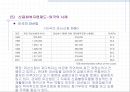신용불량자 문제의 원인과 대책.ppt 16페이지