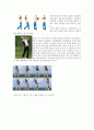 골프(Golf)의 스윙분석 6페이지