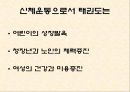 태권도 3페이지