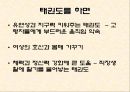 태권도 8페이지