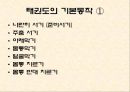 태권도 19페이지