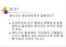 동성애(homosexuality) 14페이지