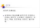 동성애(homosexuality) 18페이지