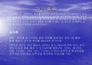 수상스키 4페이지