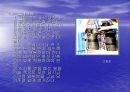 수상스키 16페이지