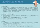 [식품과건강] 유용한 지방 - 다가 불포화 지방산, 오메가3 지방산, 오메가6 지방산 7페이지