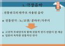 [일본 문화와 이해] 일본음악 - 전통음악과 오늘날의 일본음악  5페이지