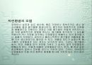 환경 자원의 관리.ppt 7페이지