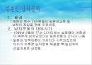 일본의 대북정책.ppt 14페이지