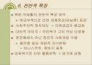 북한의 의생활.ppt 11페이지