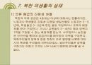 북한의 의생활.ppt 12페이지