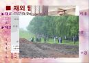 국내외 탈북자의 이해.ppt 9페이지