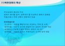 북한의 문화  14페이지
