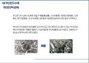 [관광학원론] 부산 메디컬의 중심 부산진구 - 부산진구 소개, 팜플렛 소개, 부산진구 의료관광 활성화 방안  5페이지