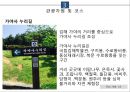 [관광정보시스템]김해 가야의 거리 투어 - 김해 조사 및 분석, 관광자원, 팜플렛 분석 및 제작  15페이지