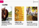 [관광학원론] 산청 - 한옥마을, 남사예담촌  16페이지