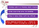 [기초基礎장애연금] 기초장애연금 제도 필요성, 기초장애연금 수급자 선정 논란, 기초장애연금제도 개념, 기초장애연금제도 수급자 선정방안, 기초장애연금 전망 23페이지