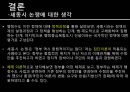 [세종시Sejong-si 건설 현황] 세종시 건설 현황, 세종시 건설 특징, 세종시 쟁점들, 세종시 추진 문제점, 세종시 건설의 나아갈 방향 20페이지