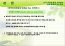 [국가國家정책 분석] 의약분업 개념, 의약분업 목적, 의약분업 기대효과, 의약분업 정책 성공 전략 11페이지
